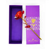 Hot LED Enchanted Galaxy Rose Eternal Beauty And The Beast Rose With - ZAAPLI