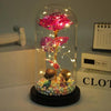 Hot LED Enchanted Galaxy Rose Eternal Beauty And The Beast Rose With - ZAAPLI