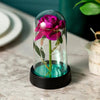 Eternal Rose LED Light Foil Flower In Glass Cover Tabletop Decoration - ZAAPLI